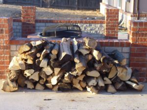 A quarter rick of firewood
